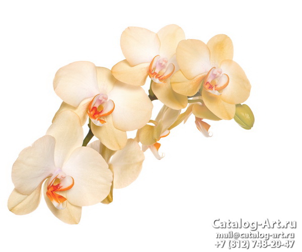 Натяжные потолки с фотопечатью - Белые орхидеи 5